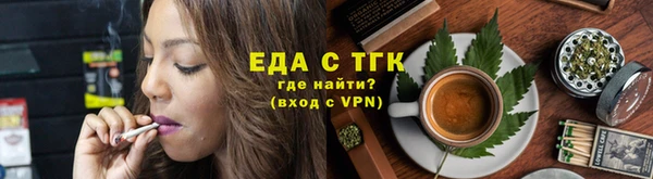 мдпв Бородино