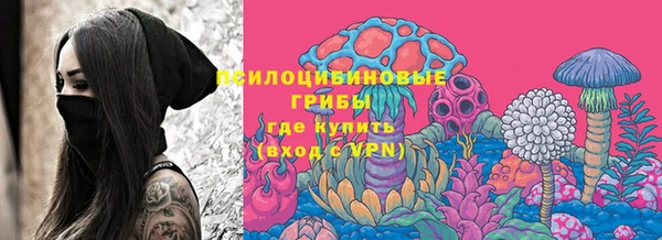 метамфетамин Богданович