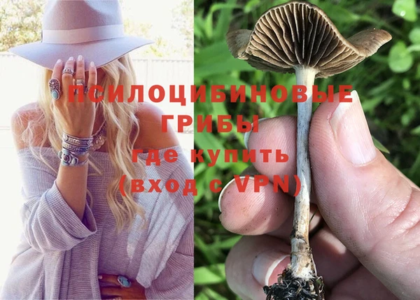 скорость Инта
